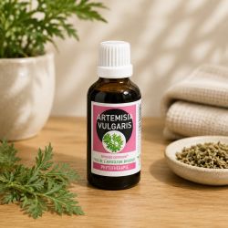 ARTEMISIA VULGARIS 50ML Macération avec alcool - SANTEREL