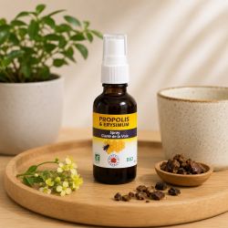 SPRAY GORGE PROPOLIS & ERYSIMUM BIO 50ML - SPRAY CLARTE DE LA VOIX - VECTEUR ENERGY