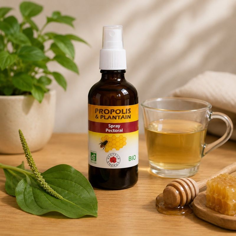 SPRAY GORGE PROPOLIS & PLANTAIN BIO 50ML - SPRAY PECTORAL - VECTEUR ENERGY