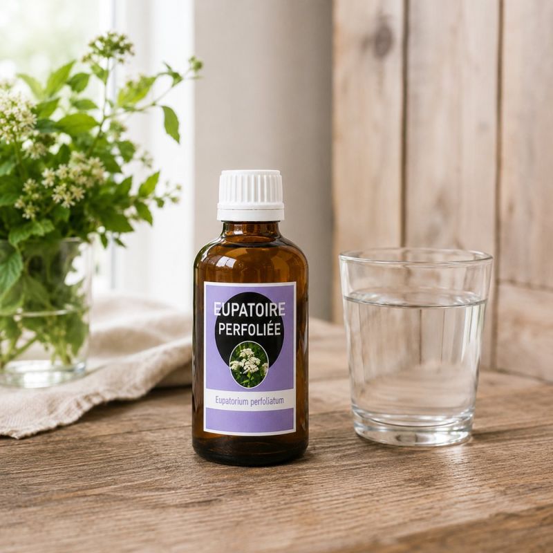 EUPATOIRE PERFOLIEE EXTRAIT DE PLANTE 50ML Eupatorium perfoliatum