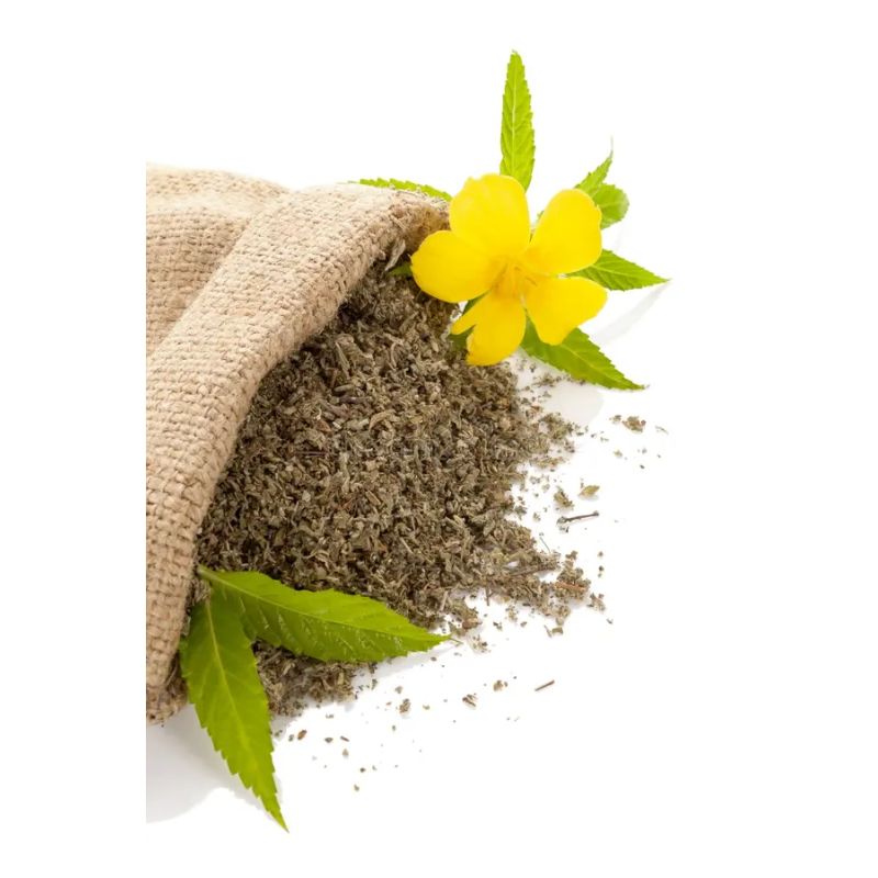 Infusion DAMIANA | Bienfaits | Au meilleur prix