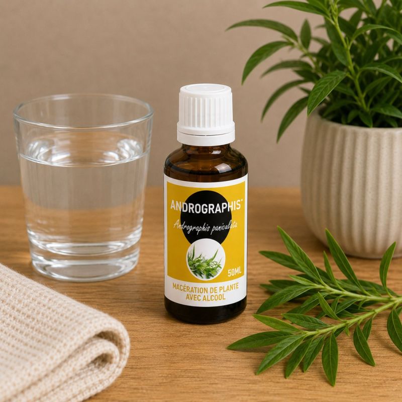 ANDROGRAPHIS 50ML macération  AVEC ALCOOL  - SANTEREL
