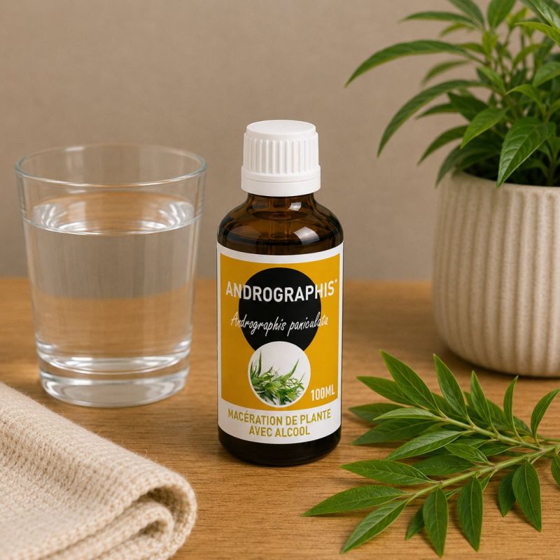 ANDROGRAPHIS 100ML macération de plante AVEC ALCOOL - andrographis paniculata