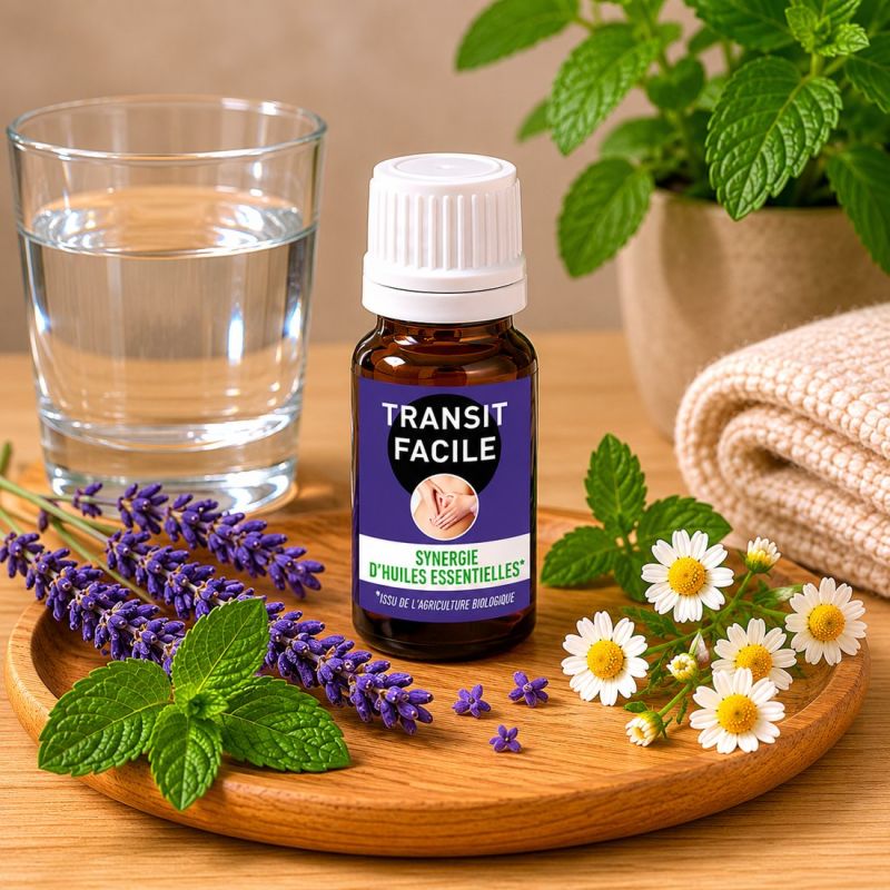 SYNERGIE Huiles essentielles *  TRANSIT FACILE 10ML -*issu de l'agriculture biologique