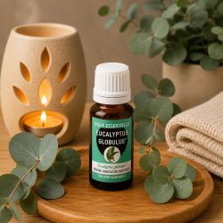 Huile essentielle EUCALYPTUS Globulus * 10ML - *issu de l'agriculture biologique