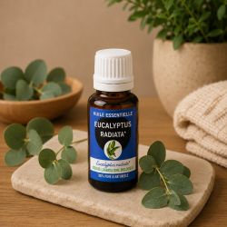 Huile essentielle EUCALYPTUS RADIE* 10ml - *issu de l'agriculture biologique
