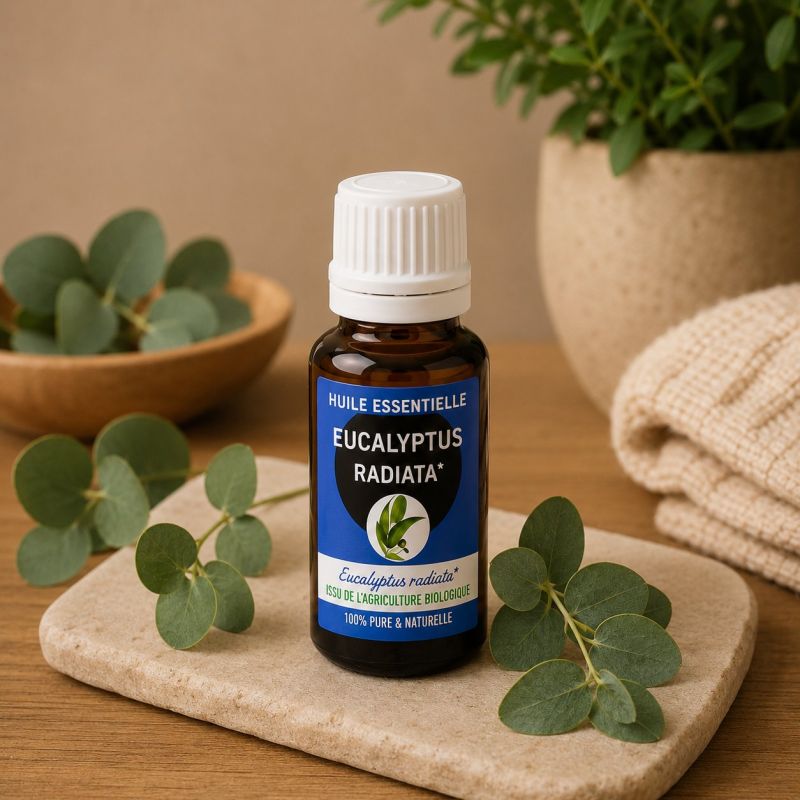 Huile essentielle EUCALYPTUS RADIE* 10ml - *issu de l'agriculture biologique