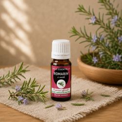 Huile essentielle ROMARIN* à cineole 10ml - * issu de l'agriculture biologique