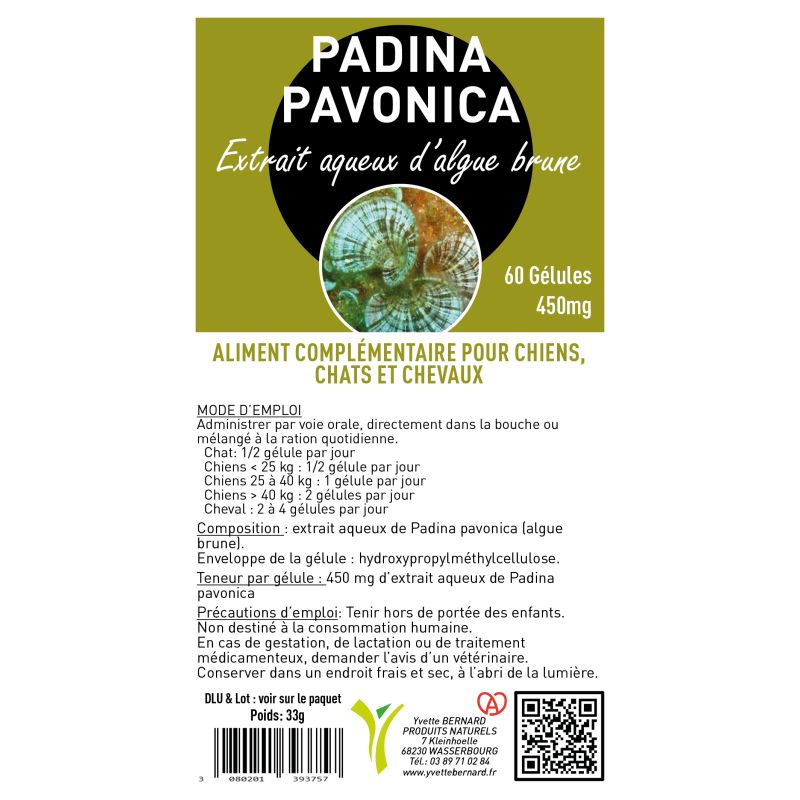 PADINA PAVONICA Extrait aqueux 60 gelules 450mg