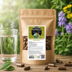 PADINA PAVONICA Extrait aqueux 60 gelules 450mg