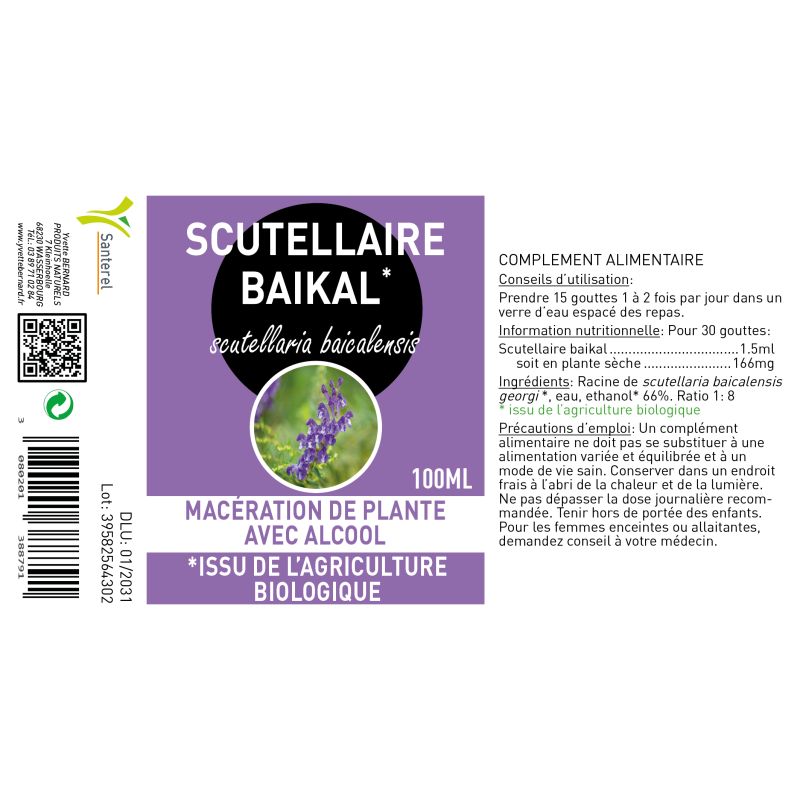 SCUTELLAIRE BAIKAL Extrait | HUANG QIN| Bienfaits et utilisation