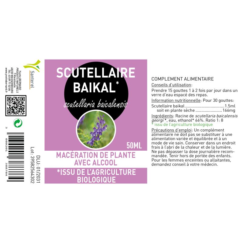 SCUTELLAIRE BAIKAL | Bienfaits et utilisation | Au meilleur prix