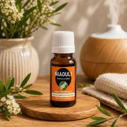 Huile essentielle NIAOULI* 10ml - *issu de l'agriculture biologique