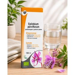 EPILOBE Petite Fleur BIO 100ml - Extrait de Plante