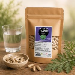 ARTEMISIA VULGARIS EXTRAIT - 60 GELULES 350MG - SANTEREL