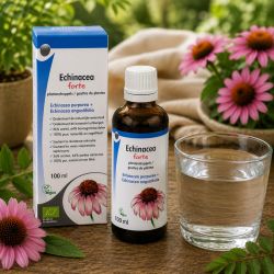 ECHINACEA FORTE GOUTTES de plante BIO 100ml - echinacea pourpreracine et partie aerienne