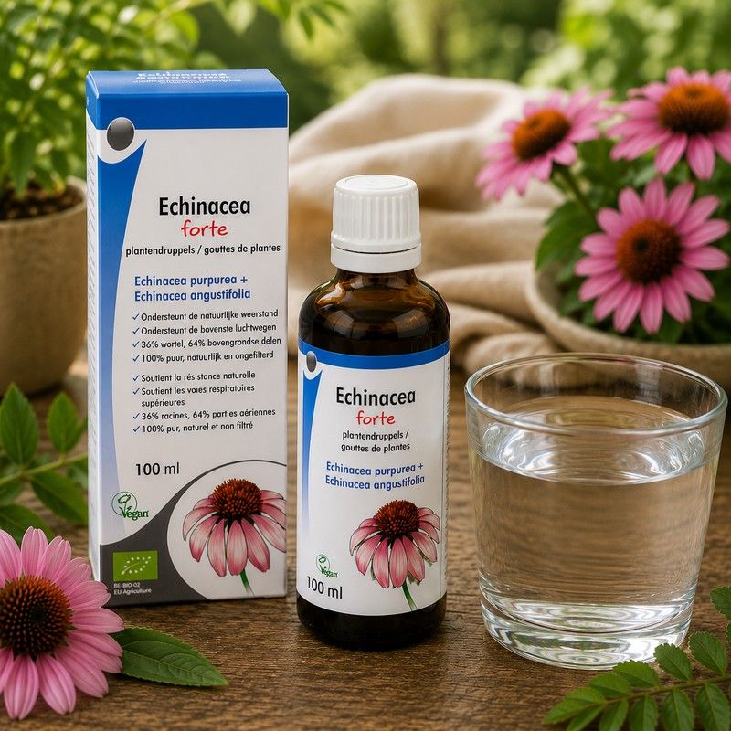 ECHINACEA FORTE GOUTTES de plante BIO 100ml - echinacea pourpreracine et partie aerienne