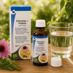 ECHINACEA + PROPOLIS Extrait de plantes BIO 100ml
