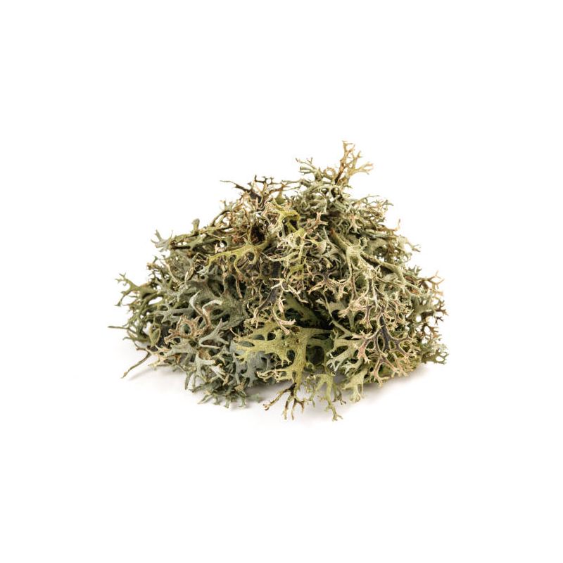 Infusion MOUSSE D'ISLANDE plante coupée 70g
