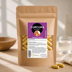 CURCUMA longa poudre* - 60 gélules 450mg - * issu de l'agriculture biologique - SANTEREL