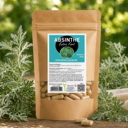 ABSINTHE EXTRA FORT 60 gélules 380mg - Artemisia absinthium - SANTEREL