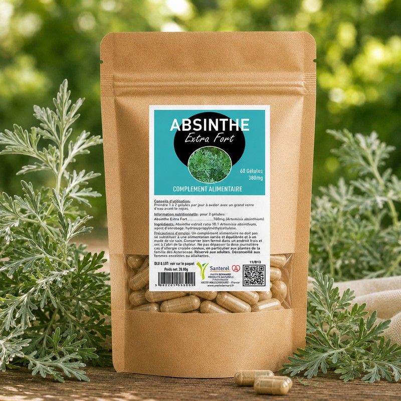ABSINTHE EXTRA FORT 60 gélules 380mg - Artemisia absinthium - SANTEREL