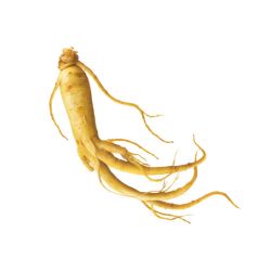 Thé Vert LEMONFRESH Citron Ginseng 90g