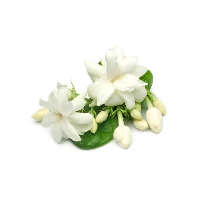 Infusion JASMIN Fleurs Entières 40g