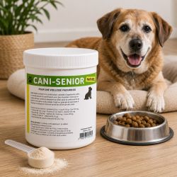 CANI SENIOR: les bienfaits des plantes pour une retraite méritée|Chien