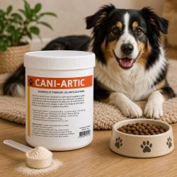 CANI ARTIC l'allier de votre chien| Souplesse| Yvette Bernard