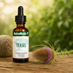 Flacon Teasel Nutramedix 30ml - teinture de racine de cardère Dipsacus fullonum