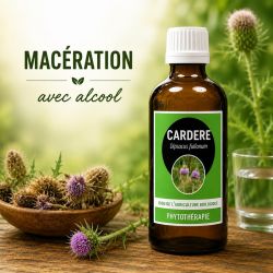 CARDERE  100ml  - macération AVEC ALCOOL  issu de l'agriculture biologique - Santerel