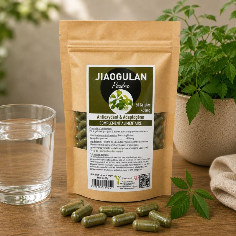 JIAOGULAN POUDRE 60 gélules 450mg - Issue de l'Agriculture Biologique - SANTEREL