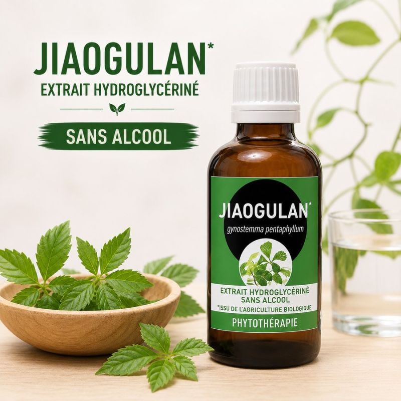 JIAOGULAN 50ML macération de plante SANS ALCOOL - issu de l'agriculture biologique