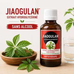 JIAOGULAN 100ML macération de plante SANS ALCOOL - issu de l'agriculture biologique