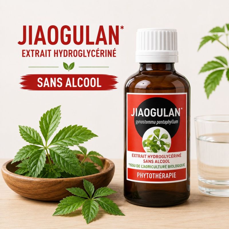 JIAOGULAN 100ML macération de plante SANS ALCOOL - issu de l'agriculture biologique