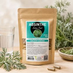 ABSINTHE EXTRA FORT 60 gélules 380mg - Artemisia absinthium - SANTEREL