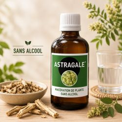 ASTRAGALE* 100ML Macération SANS ALCOOL - Santerel - * Issu de l'agriculture biologique